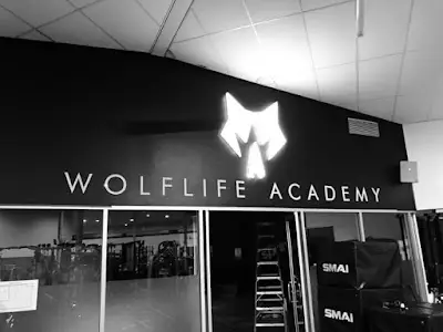 Wolflife Academy BJJ Academy - photo 4