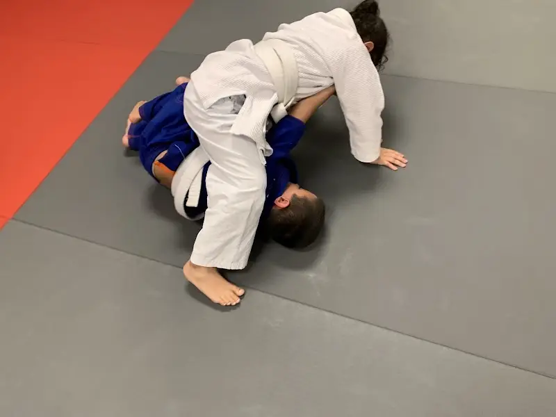 Wolfpack brazilian jiu jitsu