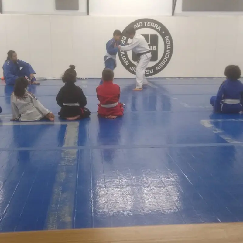 Woodland Jiu Jitsu Academy BJJ Academy - photo 1