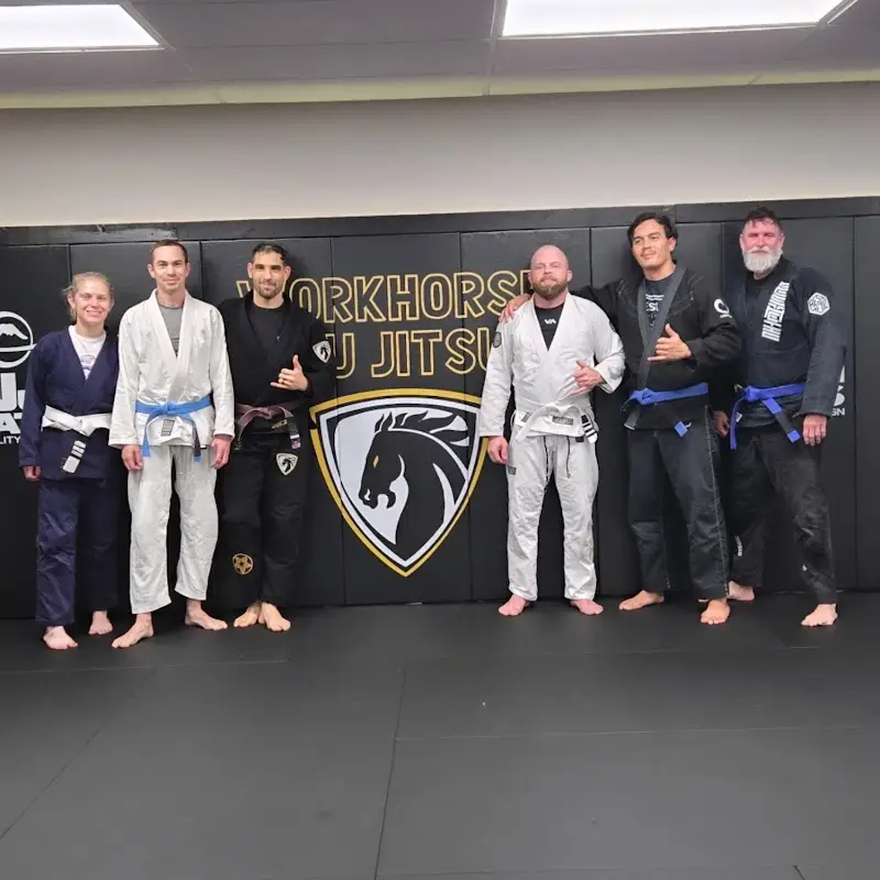Workhorse Jiu Jitsu BJJ Academy - photo 1