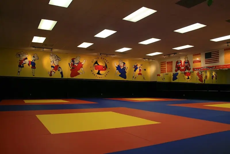 World Champion Jiu-Jitsu BJJ Academy - photo 1