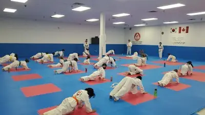 World Martial Arts: Gracie Barra Brazilian Jiu Jitsu (BJJ) & Taekwondo BJJ Academy - photo 2
