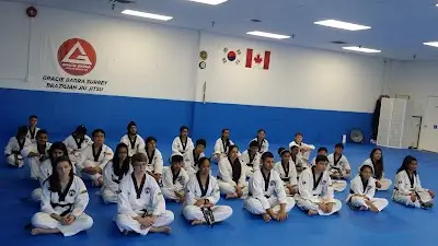 World Martial Arts: Gracie Barra Brazilian Jiu Jitsu (BJJ) & Taekwondo BJJ Academy - photo 3