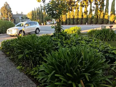 World Martial Arts Palo Alto BJJ Academy - photo 2