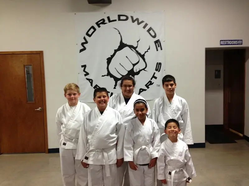 Worldwide Martial Arts BJJ Academy - photo 2