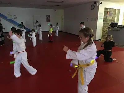 Xcelsior Martial Arts BJJ Academy - photo 2