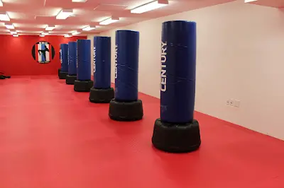 Yang's Martial Arts Centre