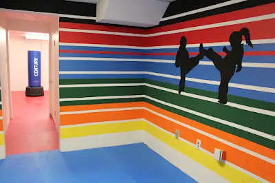 Yang's Martial Arts Centre BJJ Academy - photo 1