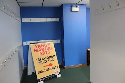 Yang's Martial Arts Centre BJJ Academy - photo 2