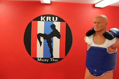 Yang's Martial Arts Centre BJJ Academy - photo 3