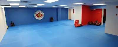 Yang's Martial Arts Centre BJJ Academy - photo 4