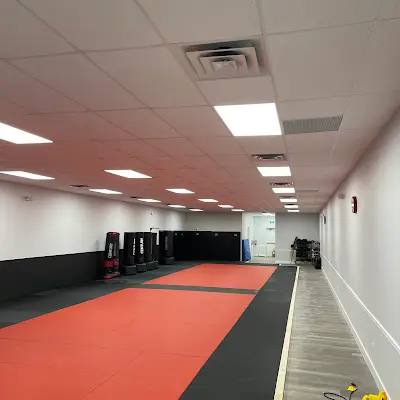 YGK Combatives Group BJJ Academy - photo 2