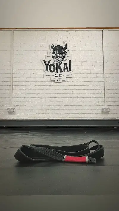 Yokai Grappling Academy BJJ Academy - photo 2