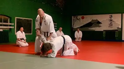 York Shodokan Aikido BJJ Academy - photo 1