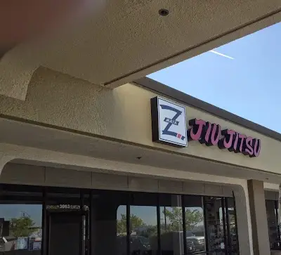 Z Martial Arts Training Academy BJJ Academy - photo 2