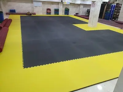Z73 BJJ