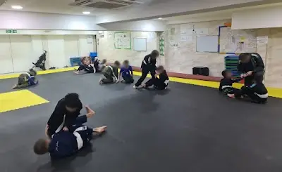 Z73 BJJ BJJ Academy - photo 1
