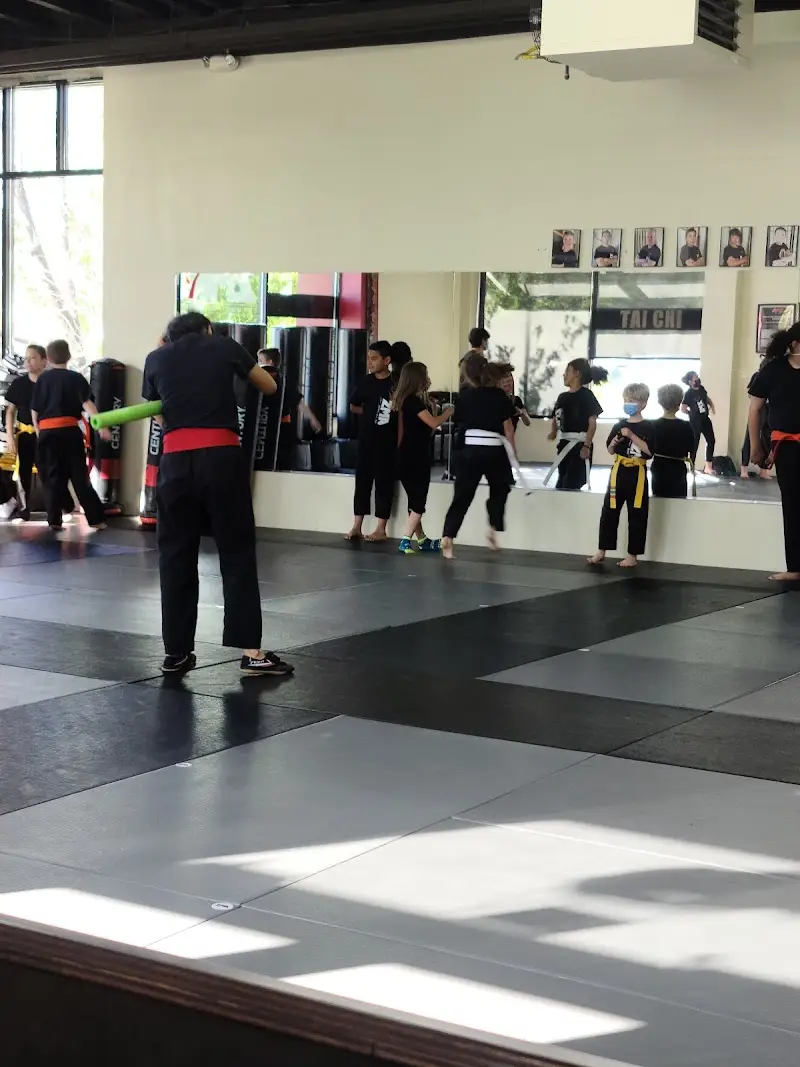 Zai Martial Arts Academy BJJ Academy - photo 1