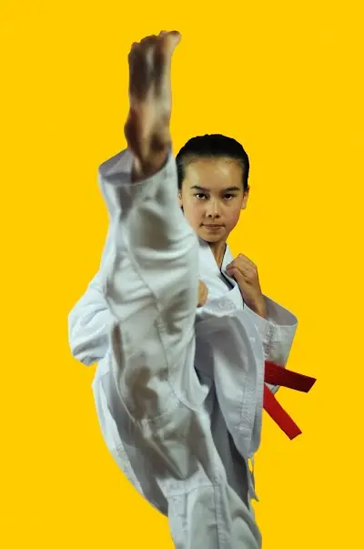 Zanshin Martial Arts - Watson Dojo