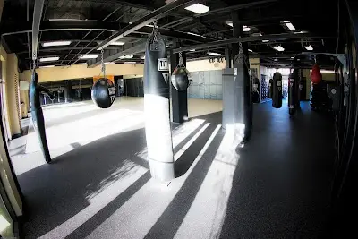 Zanshin Martial Arts