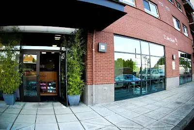 Zanshin Martial Arts BJJ Academy - photo 1