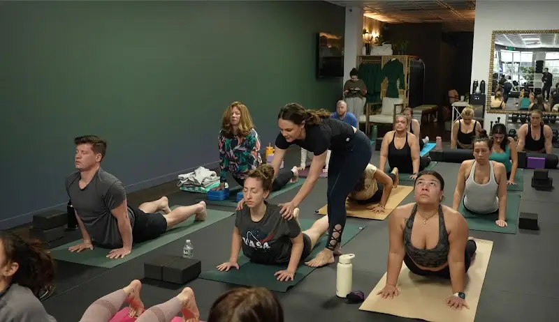Zen Jiu Jitsu & Wellness BJJ Academy - photo 1