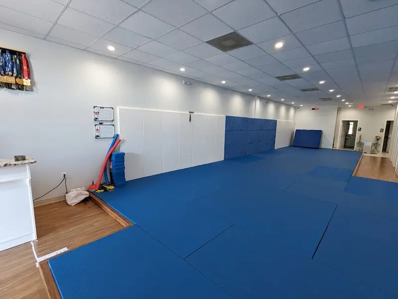 ZenCosmic Brazilian Jiu Jitsu and Yoga BJJ Academy - photo 1