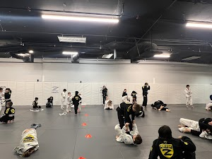 Inside Zenith Jiu Jitsu by Robert Drysdale academy