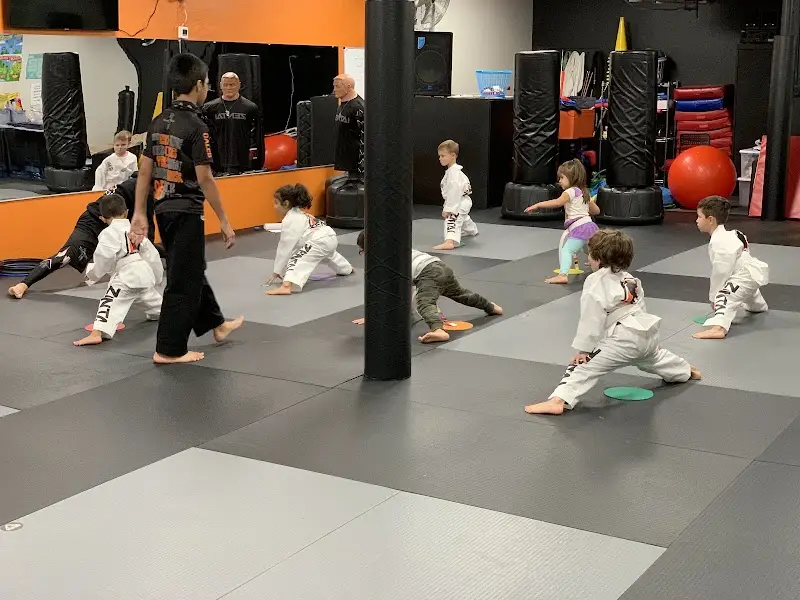 Zentai Martial Arts & Summer Camp - Clifton BJJ Academy - photo 1