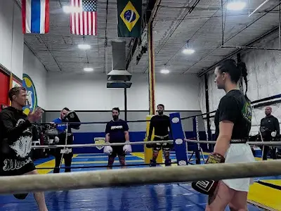 Zingano Brazilian Jiu Jitsu BJJ Academy - photo 2