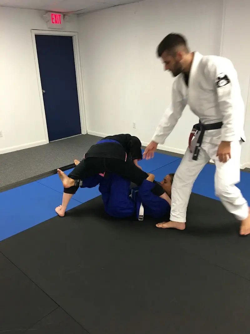 Zombie Brazilian Jiu-Jitsu and MMA BJJ Academy - photo 2