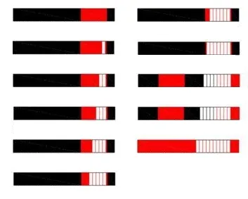 BJJ belt system with stripes black belt to red