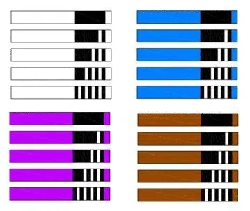 BJJ belt system with stripes white belt to brown