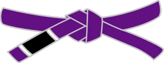 BJJ purple belt