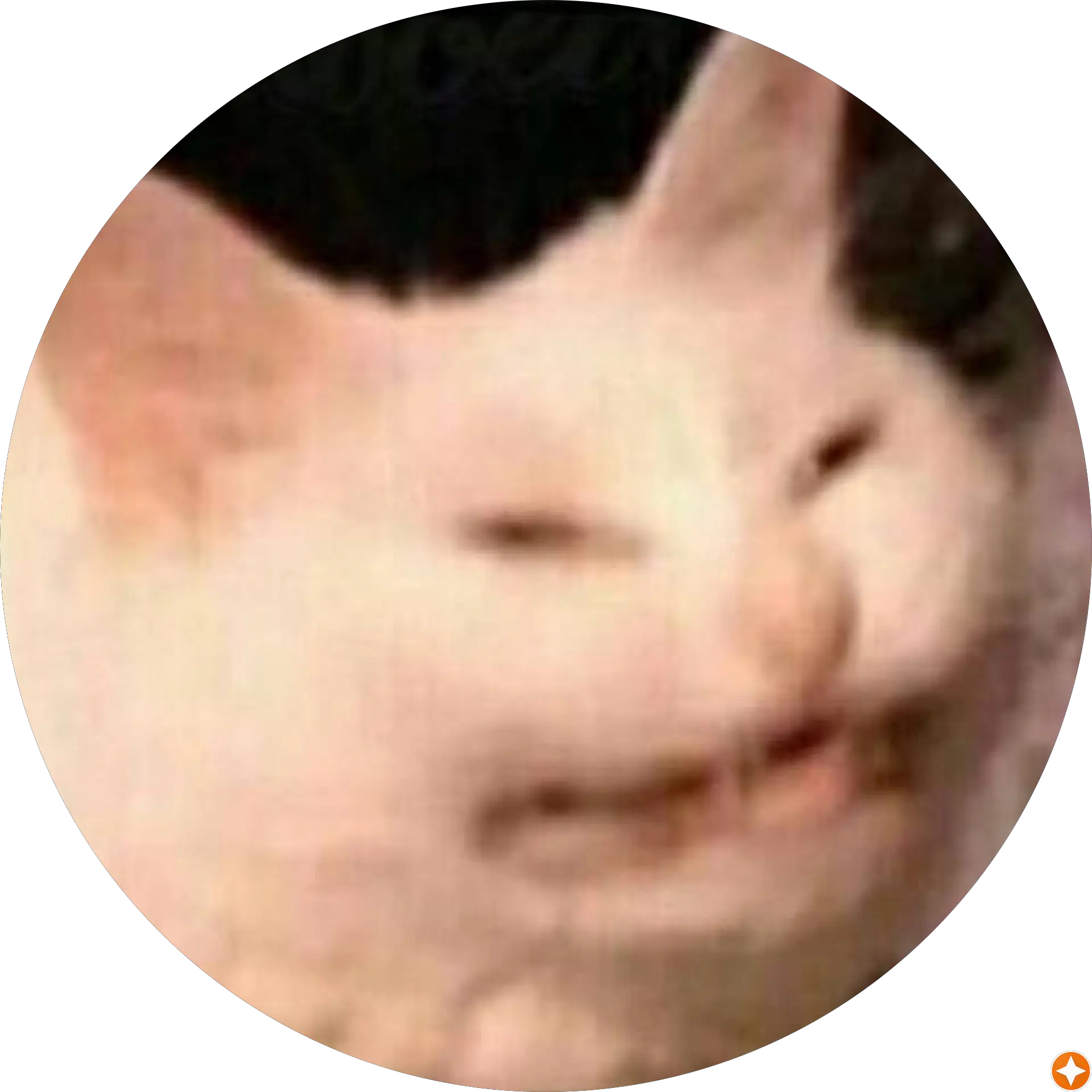 Joe Mama