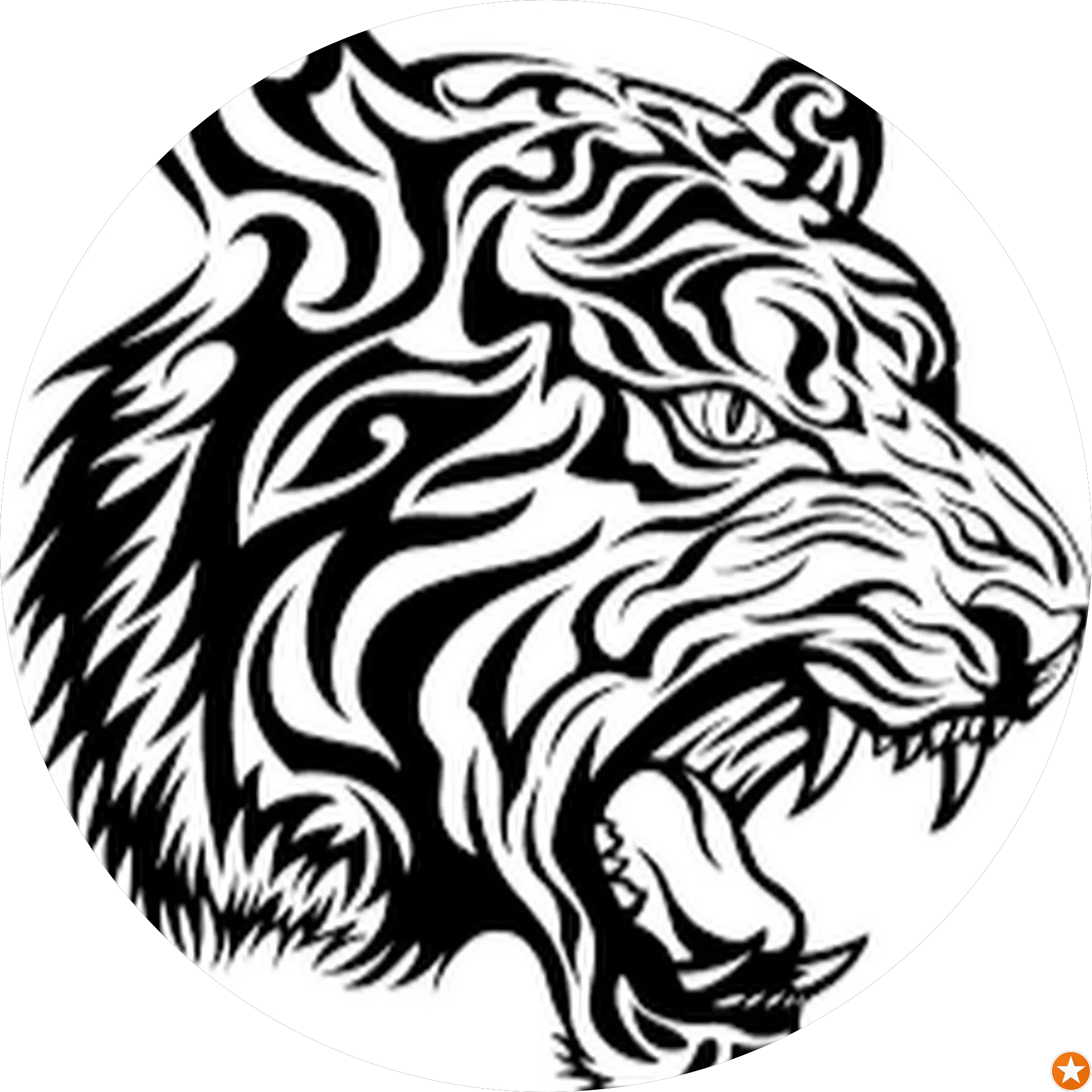 Tiger Whitten