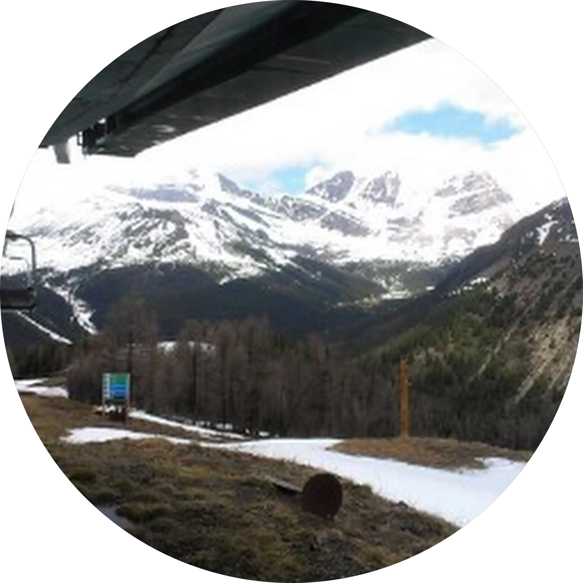 Loisl Fortmuller