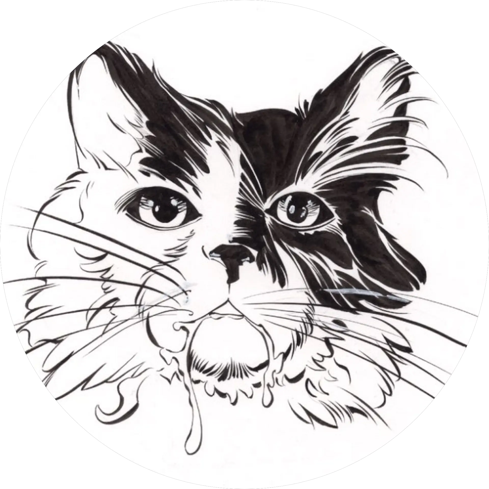 Cat Drool