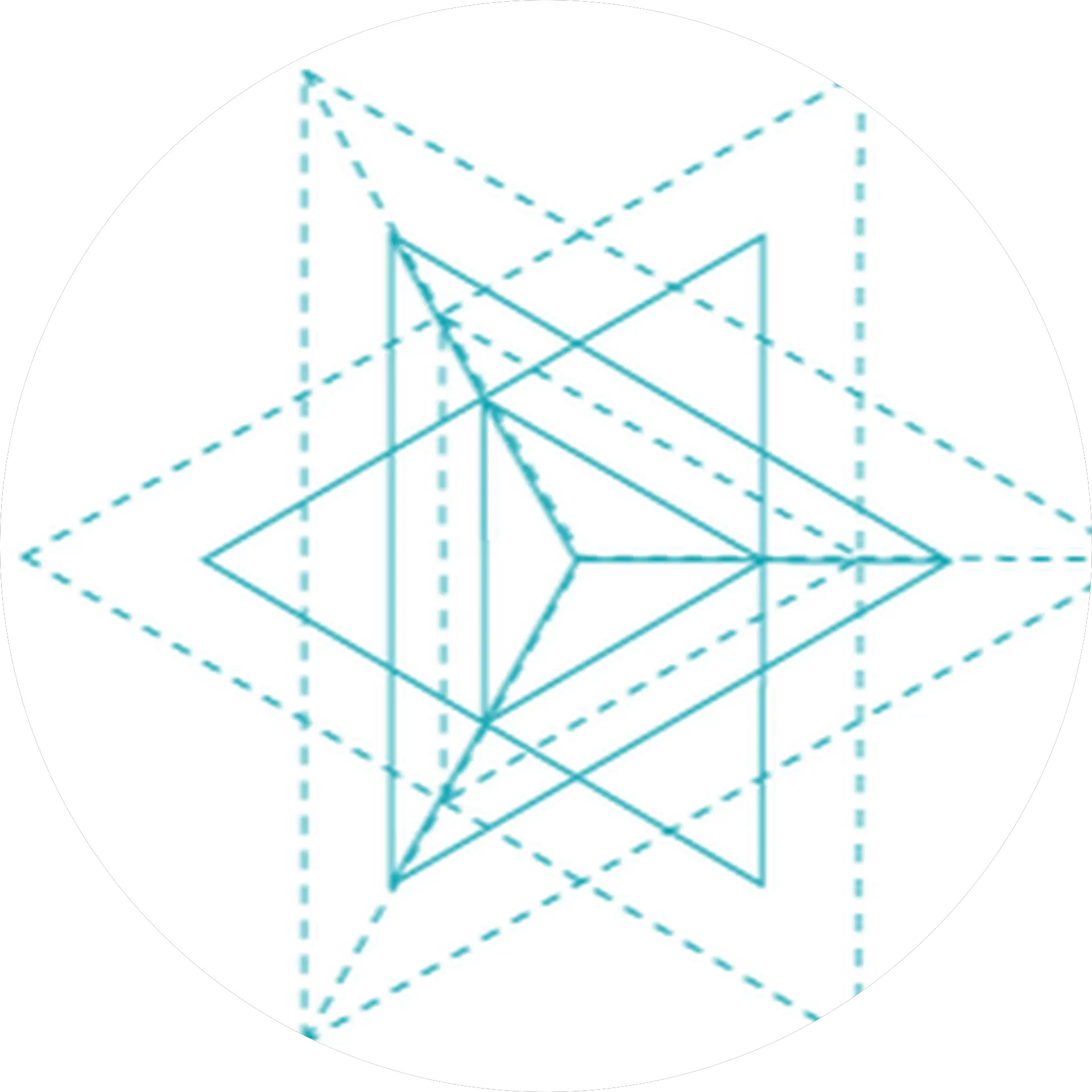Sarah Seely (Tulipifera Design)