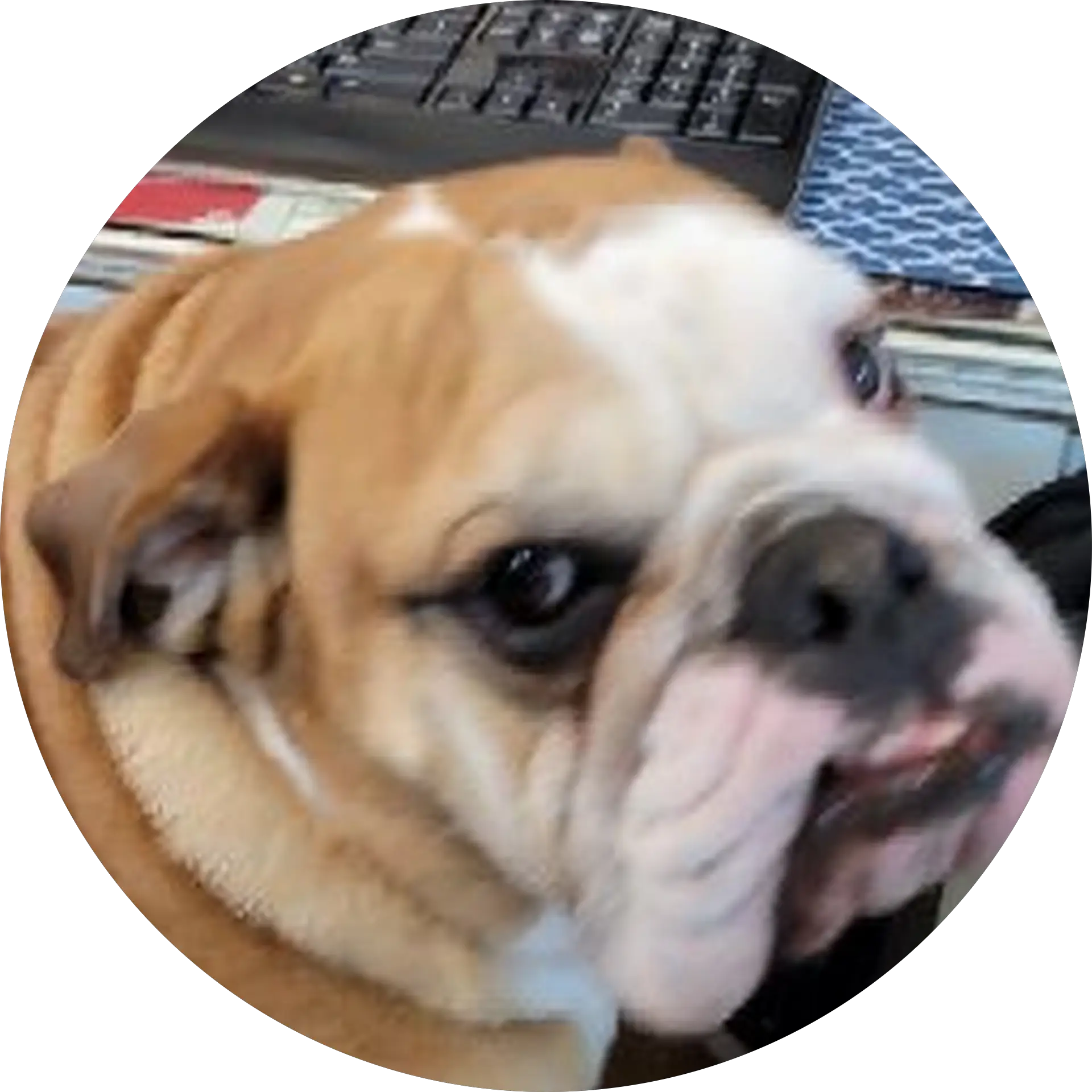 Ricardo E