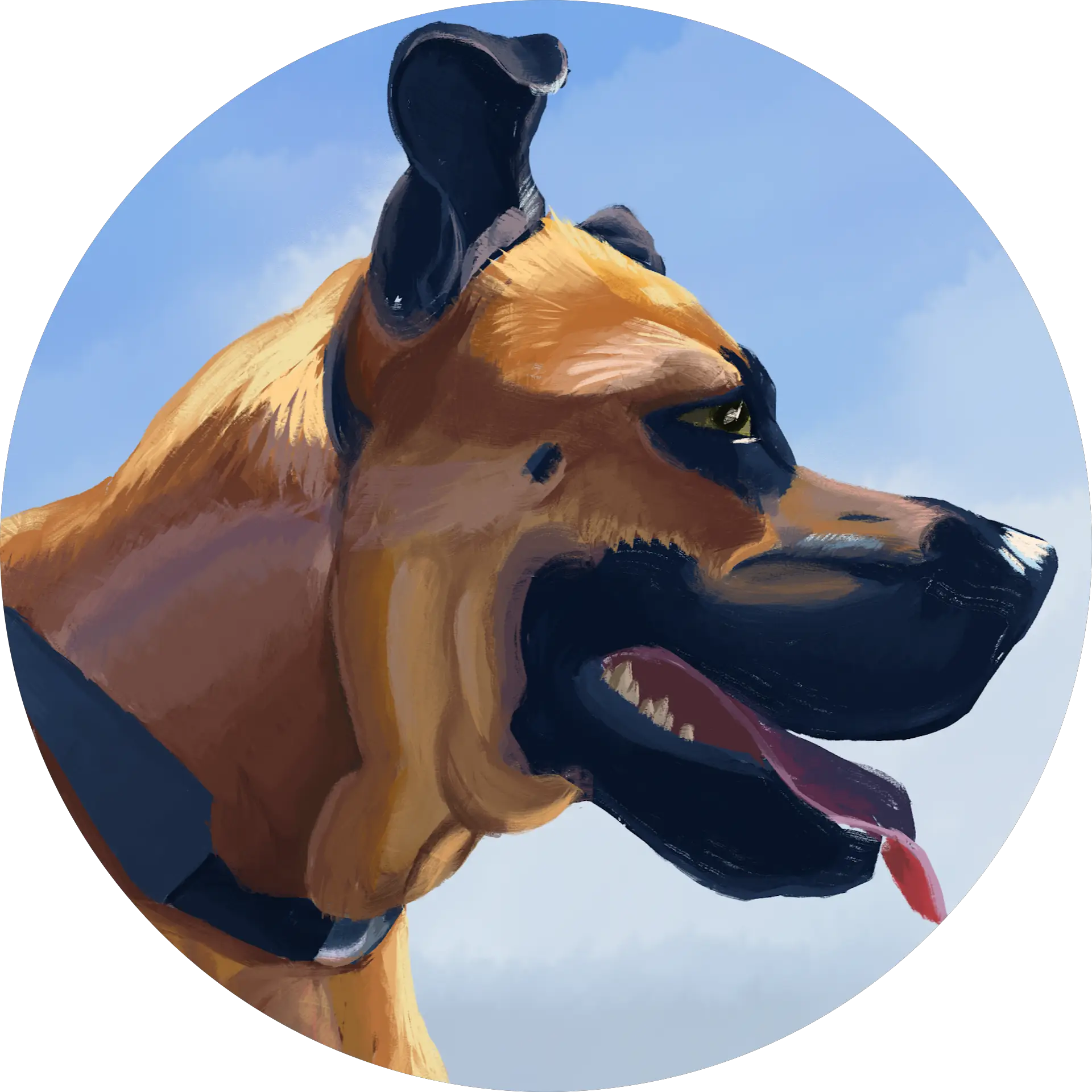 Adam Halleck (Adam Trains Dogs)