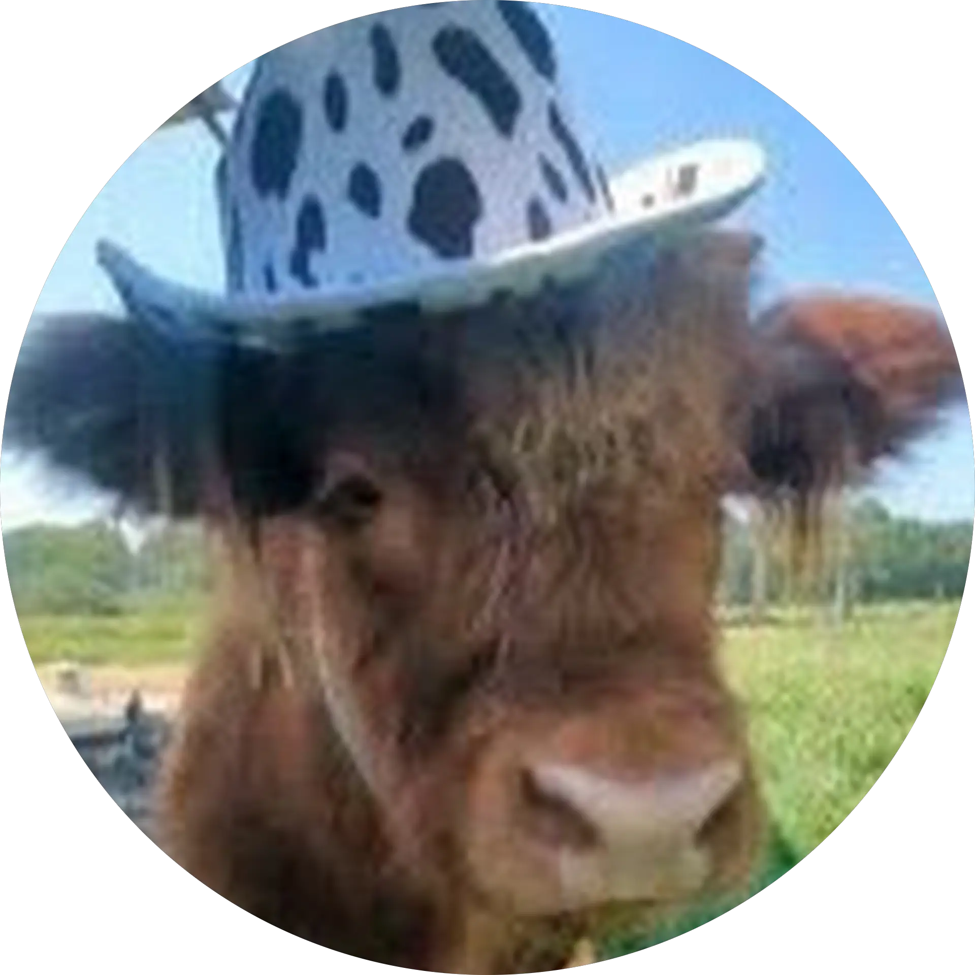 Cryptic_ Cowgirl