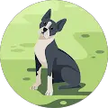 Abel