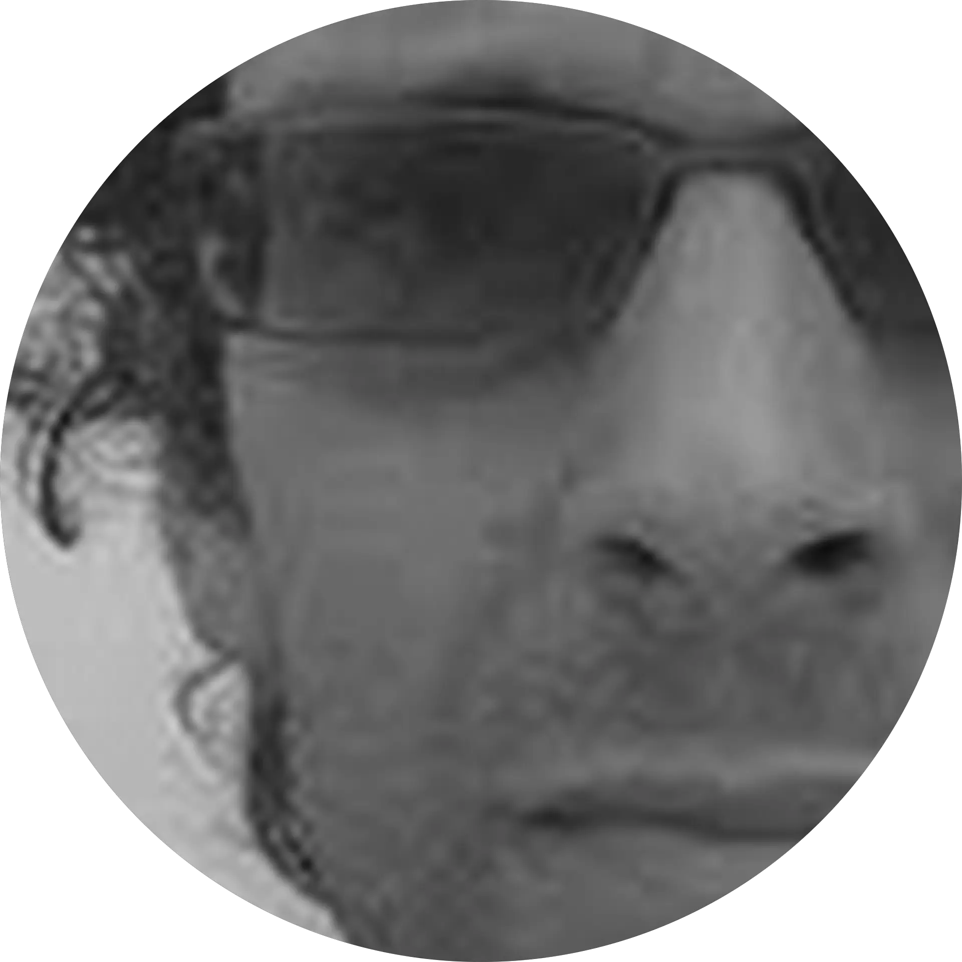 Daniel Arber