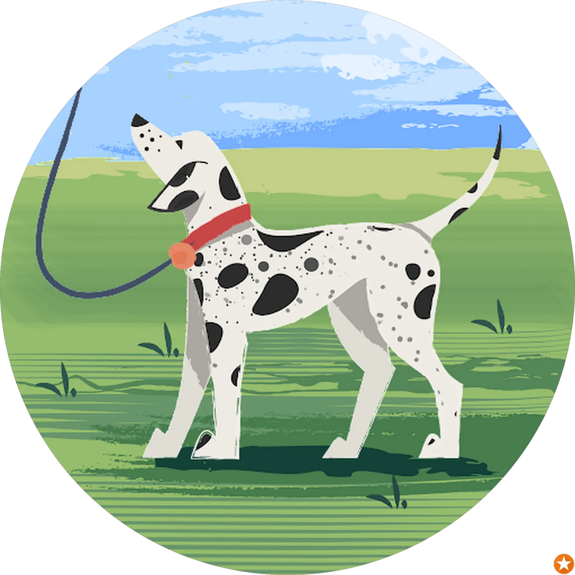 Jared Patrick