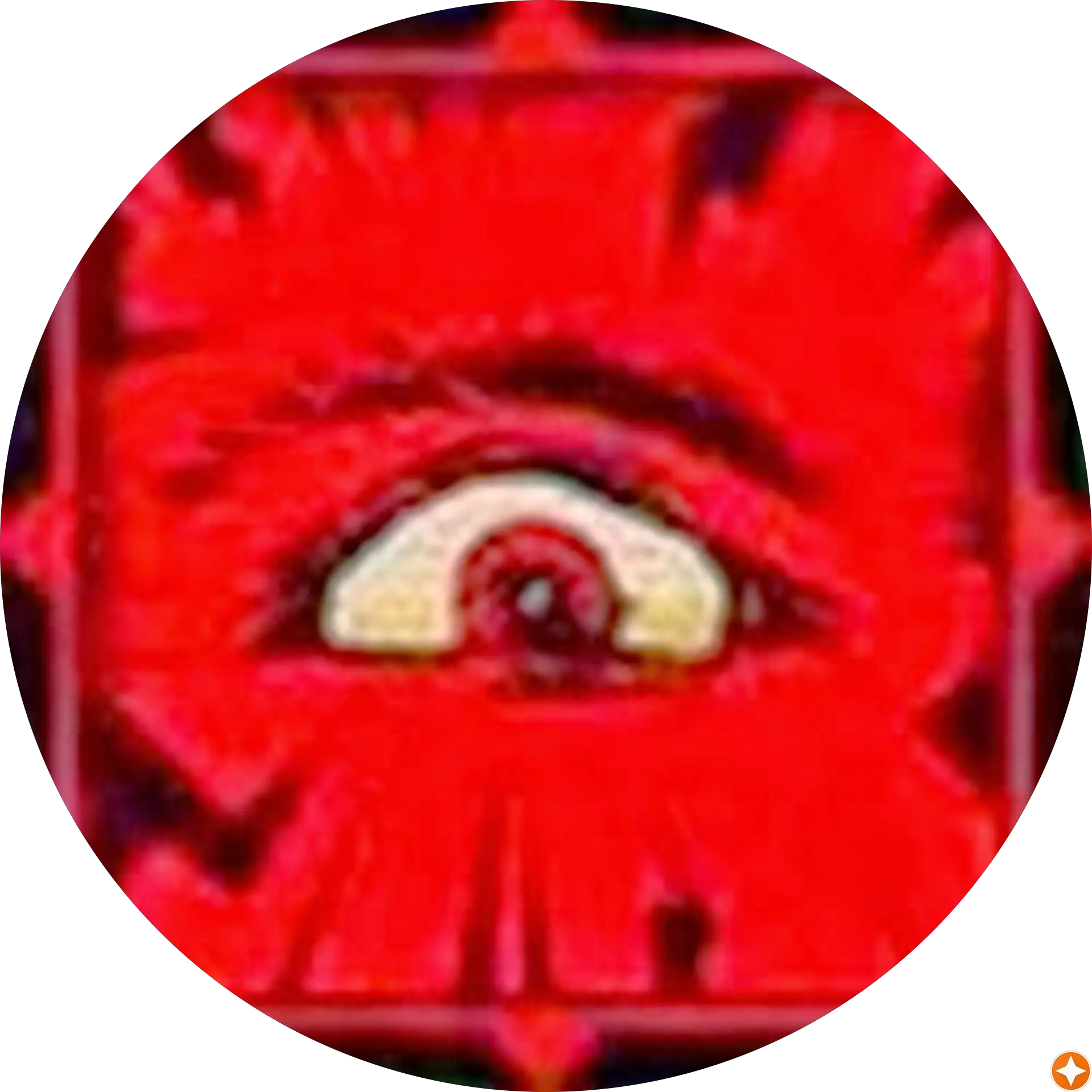 Darklight120 Vids
