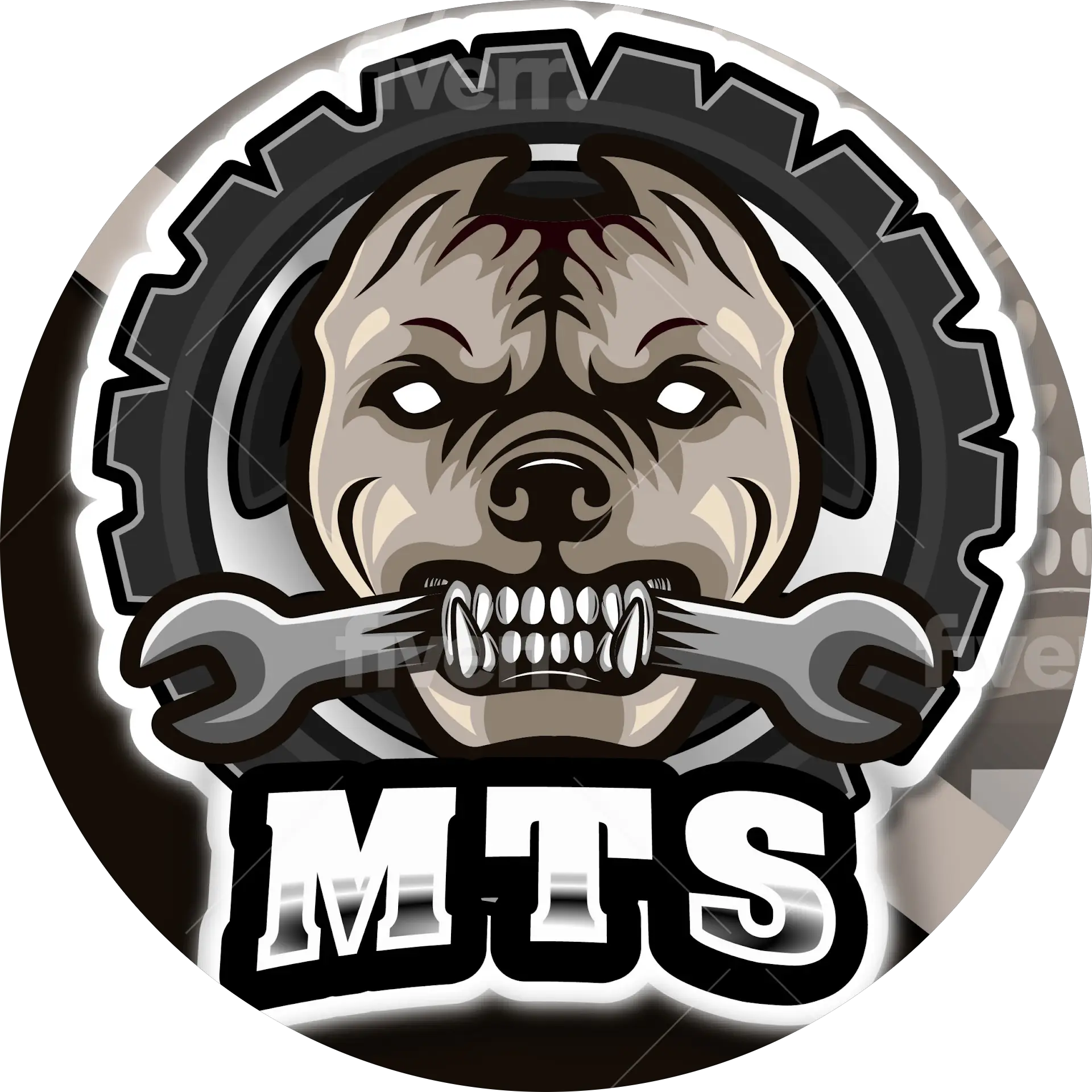 MTS Road Service