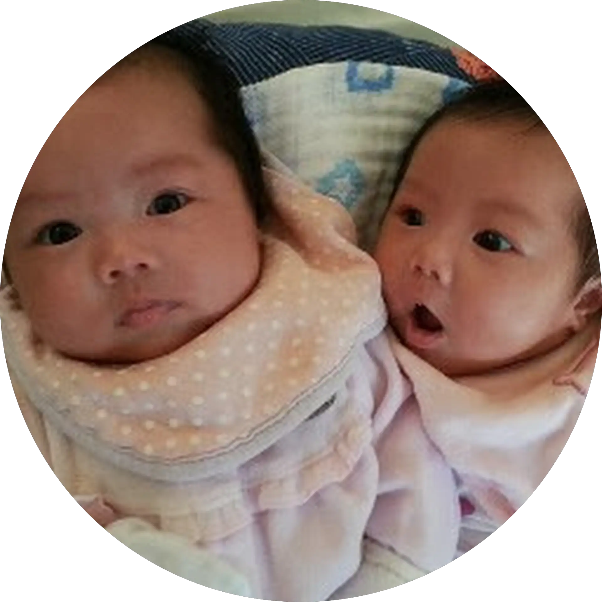 Jacquiline Tanudjaja