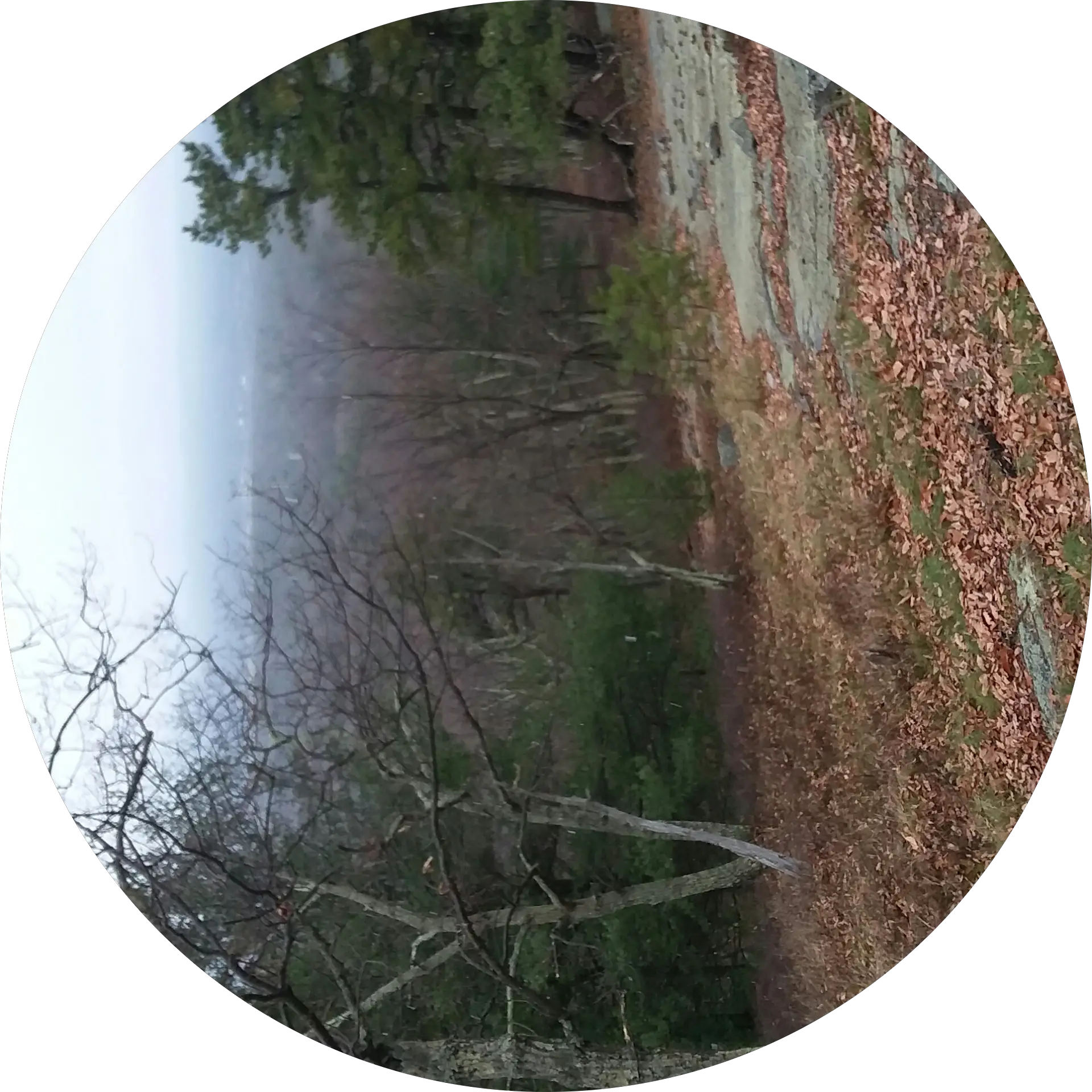BC OUTDOORS