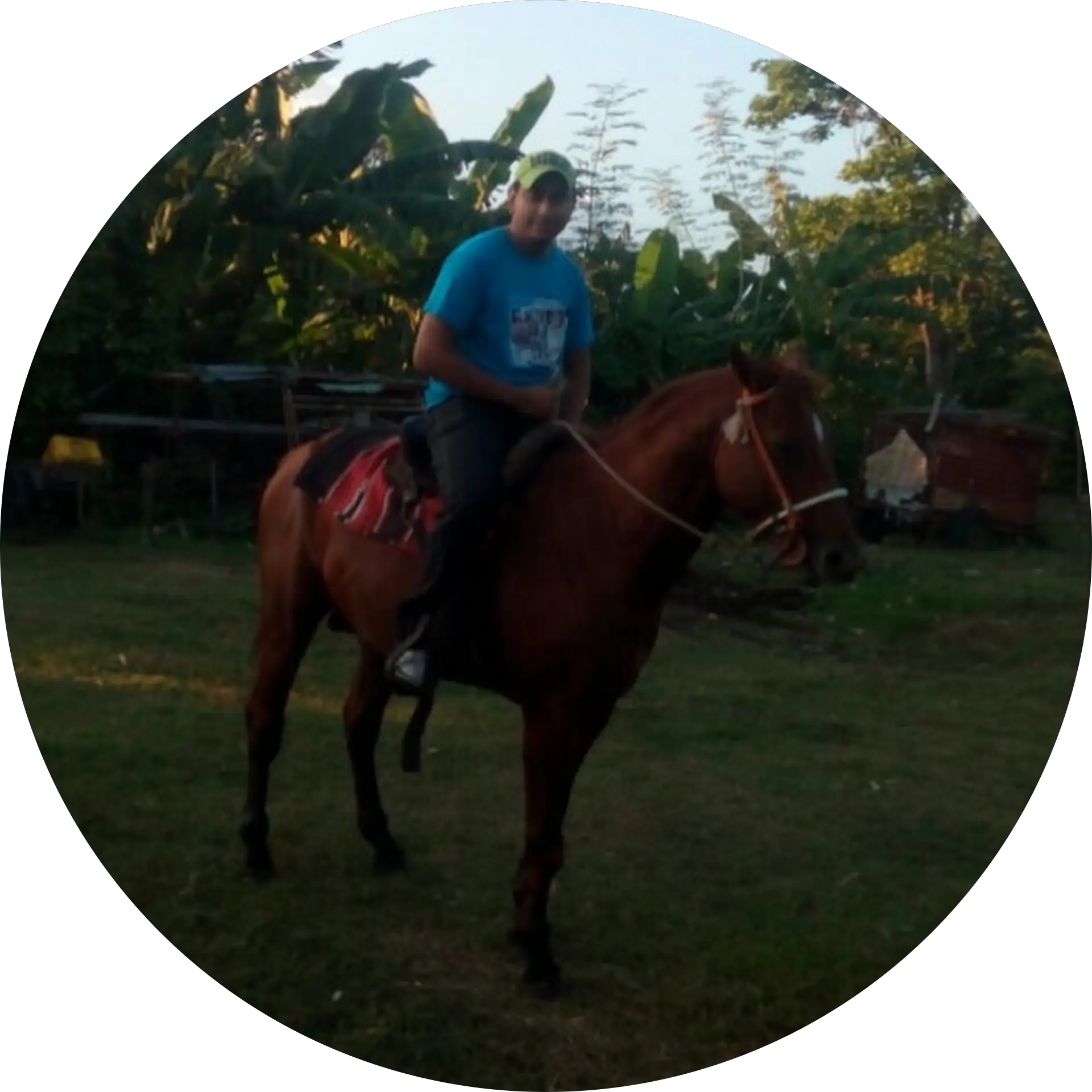 Gregori Sequera